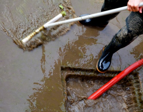 Windsor denies sewage backup claims for over 1,600 homes