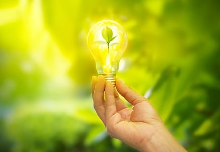 Businesses play key role in protecting the environment