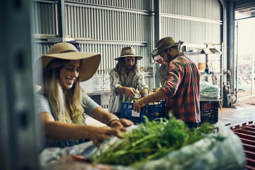 Farmers urged to be strategic with insurance