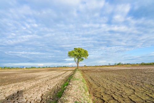 Health insurance relief offered for drought-impacted farmers