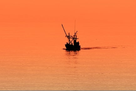 Report highlights lack of sea rise framework in NZ