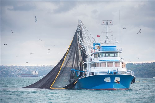 Insuring fishing boats in the Maritimes