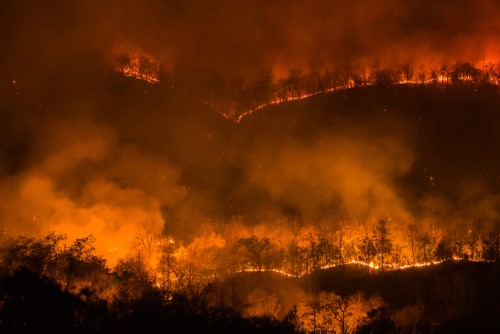 Insurers restrict new policies after fires