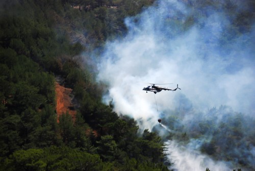 Brokers have critical role in crisis management