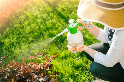 City to insure all community gardens for 2018 growing season