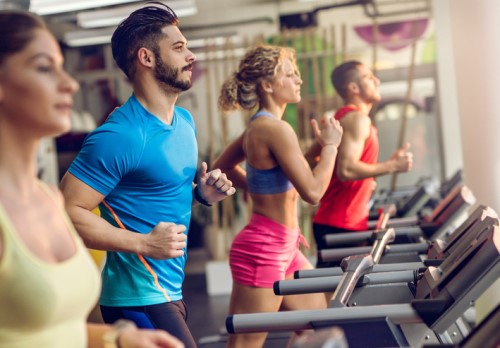 Product Spotlight: sport, leisure, recreation and fitness