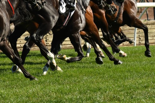 FWD to sponsor Hong Kong Champions Day horse race event