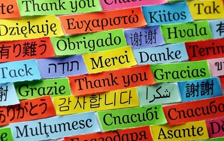 Japanese insurer to provide services in 15 languages