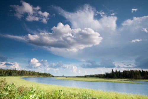 Environment Court slams city council for discharging raw sewage into river