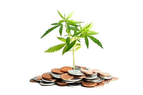 Legal cannabis: 'It's just the same as insuring businesses in any industry'