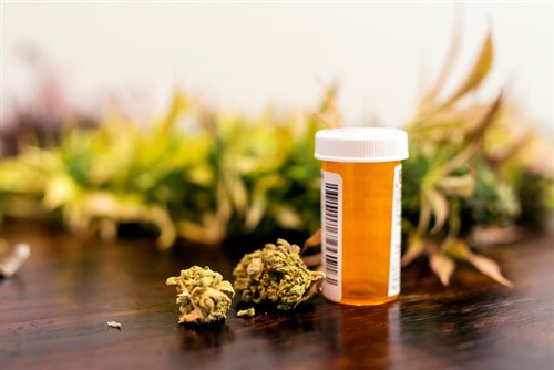 What New Brunswick’s insurers expect from cannabis legalization