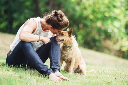 More Australians insure their pets – survey