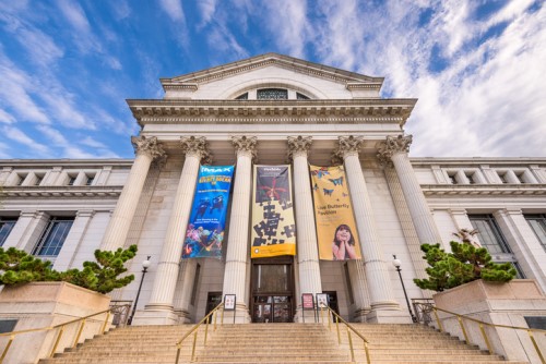 Protecting national treasures with risk management