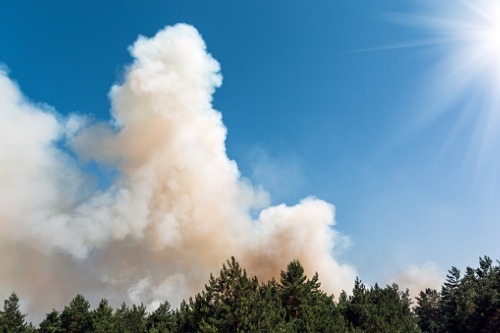 Wildfire risk doesn’t cloud desire for homes says study