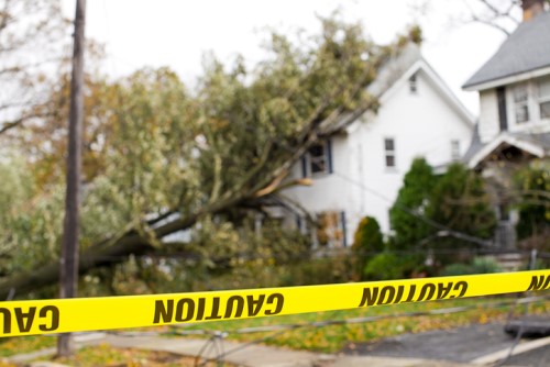 $5 million storm damage cost just a start