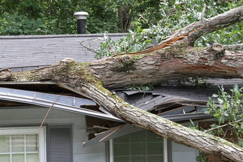 IBC: Scammers targeting households devastated by tornadoes