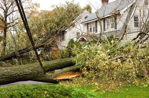 Owners of cyclone-damaged homes urged to contact EQC