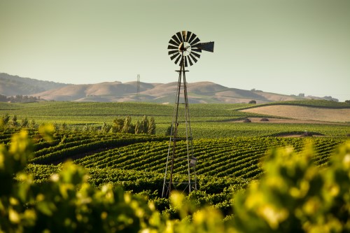 As fires return to wine country, new risk mitigation tools put to the test