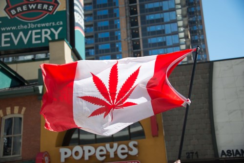 Cannabis and commercial insurance: what’s in store?