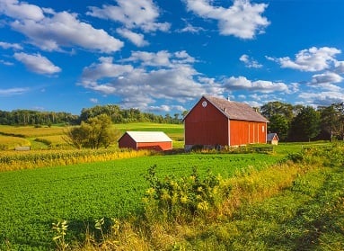 The trouble with rubbish: Farms face environmental damage risk
