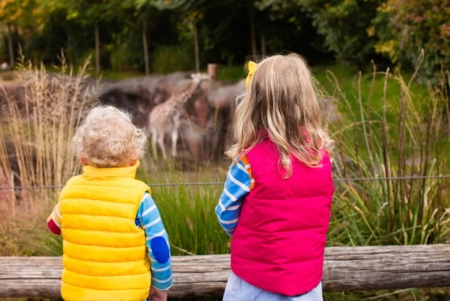 Calls made for animal parks to carry insurance for dangerous animals