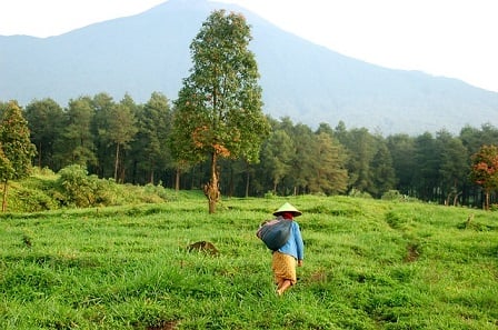 Sompo to launch new Indonesian product