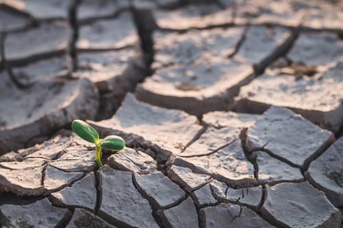 Zurich outlines commitment to UN pledge to combat climate change