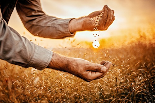 Specialist farm insurer launches theft-awareness campaign
