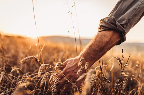 Crombie Lockwood offers advice to farmers struggling with regulation compliance