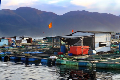 Insurance subsidy scheme for fisherfolk unsuccessful