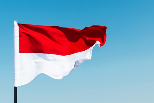 Indonesian official denies government deal with Ping An
