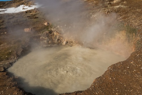 Frustration after mudpool erupts in backyard of Rotorua home