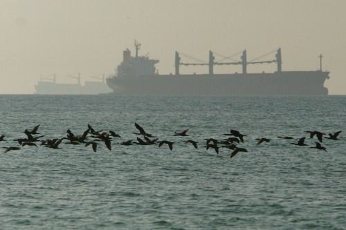 Persian Gulf sees continued surge in war risk premiums