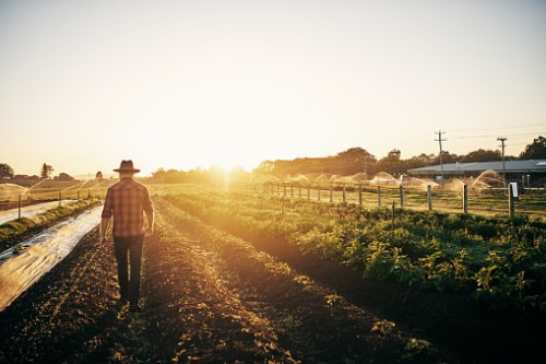 SSQ Insurance unveils urban agriculture project