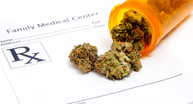Marijuana insurance industry growing like weeds