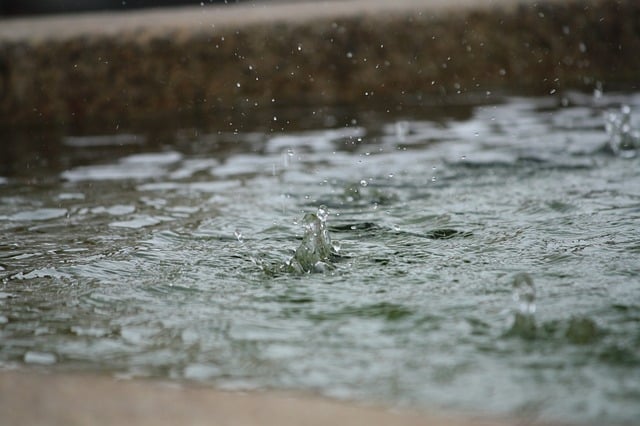 Swiss Re to introduce insurance for Taiwanese fish farmers