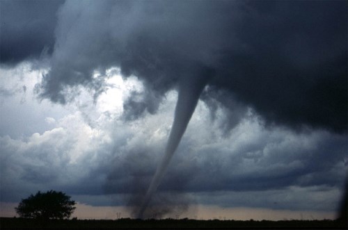 Ottawa-Gatineau tornadoes cause nearly $300 million in insured damage