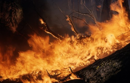 Extreme fire danger forces NZ road shutdown