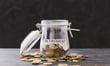 Ontario tribunal penalizes employer that treated pension funds as company cash 