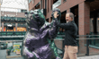 Picton rebrands with a roar for alternatives