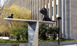 Ontario Superior Court orders Toronto plastic surgeon to pay $22.5M in class action damages