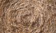 Farm faces employer liability after workplace safety failures injure driver