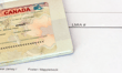Immigration policy cuts foreign job seeker interest in Canada by half: report