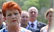 Pauline Hanson faces backlash for 'reckless' comments on paid FDV leave