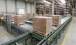 Toll Transport cops $807,500 fine after pallet crushes worker on live conveyor