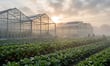 Portland Horticulture wins costs order after employee rejects settlement offer