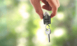 Homeownership rates among younger Americans continue to slide