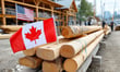 US raises anti-dumping duties on Canadian softwood