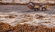 USMCA non-renewal deepens Canadian lumber uncertainty for US builders
