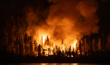 Wildfires force mass evacuations in Newfoundland and Labrador